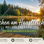 Rybářská dovolená u rybníka Hanslteich ve Waldviertelu – prázdninové apartmány Gutenbrunn Rybářský prut na dřevěném molu u lesního rybníka při východu slunce – ideální místo pro pohodovou rybářskou dovolenou v apartmánech Anna & Herbert Gutegenbrunn.
