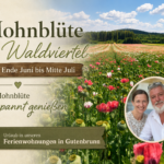Mohnblüte im Waldviertel bei Ferienwohnungen Gutenbrunn - Ferienwohnungen Gutenbrunn Werbebanner für Ferienwohnungen Anna & Herbert Gutegenbrunn mit Mohnblütenfeld im Waldviertel und einem lächelnden Paar im runden Bildausschnitt.