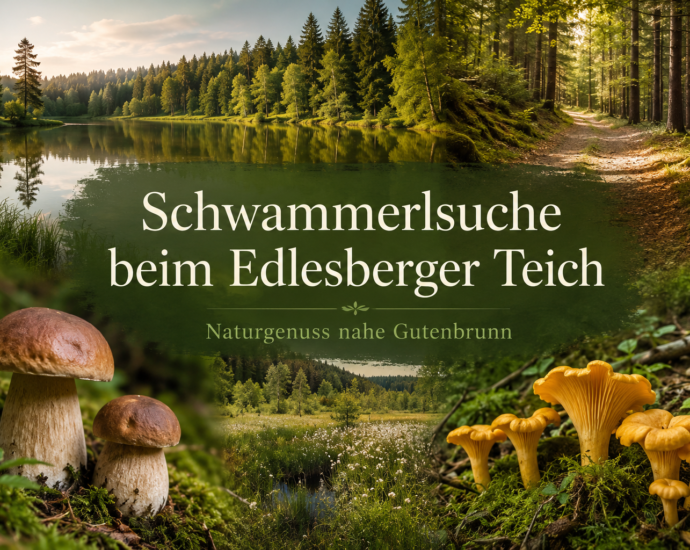 A wooded landscape near Edlesberger Teich, close to the Anna & Herbert Gutenbrunn vacation rentals, with porcini and chanterelle mushrooms in the foreground.