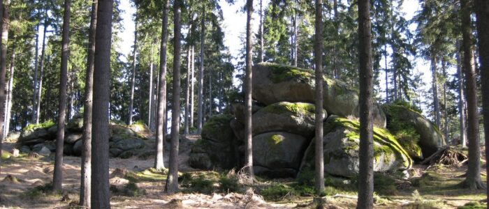 Naturerlebnis im Waldviertel Naturlandschaft mit Felsformationen im Waldviertel nahe der Ferienwohnungen Anna & Herbert Gutenbrunn für einen entspannten Urlaub.