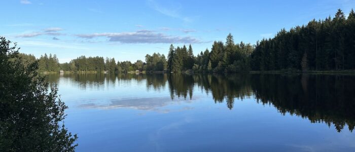 Naturidyll bei Ferienwohnungen Anna & Herbert Gutenbrunn Ruhiger Waldsee bei den Ferienwohnungen Anna & Herbert Gutenbrunn im Waldviertel, ideal für einen barrierefreien und naturnahen Urlaub.