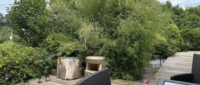 3qH38dntQ0uUga8UP5z3dw Wooden outdoor patio with wicker chairs and a glass table, surrounded by tall bamboo and other greenery under a blue sky.