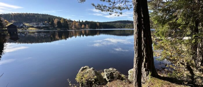 Idyllischer Waldsee bei den Ferienwohnungen Gutenbrunn Ruhiger Waldsee bei den Ferienwohnungen Anna & Herbert Gutenbrunn im Waldviertel, ideal für einen barrierefreien und familienfreundlichen Urlaub.