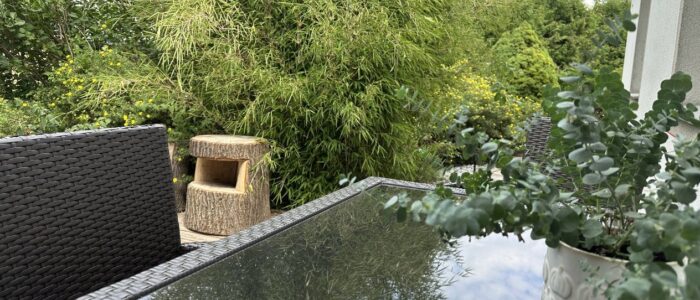 Vd1YqRIJTNO6r9xV1X_OyA Glass-top patio table reflecting the bamboo and sky, with wicker chairs and a potted eucalyptus on the right near the house.