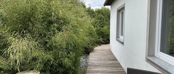 aXyXGFK6QSWGE-Q_6cZ0AQ Wooden deck beside a white house, dense bamboo on the left, a cut log stool, and a dark wicker chair along the wall.