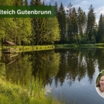 Hanslteich bei den Ferienwohnungen Anna & Herbert - Ferienwohnungen Gutenbrunn Idyllischer Hanslteich in Gutenbrunn bei den Ferienwohnungen Anna & Herbert, umgeben von Wald, ideal für einen barrierefreien Urlaub im Waldviertel.