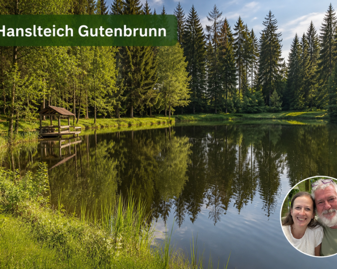 Idyllischer Hanslteich in Gutenbrunn bei den Ferienwohnungen Anna & Herbert, umgeben von Wald, ideal für einen barrierefreien Urlaub im Waldviertel.