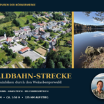 waldbahn-strecke-gutenbrunn - Ferienwohnungen Gutenbrunn chtes Luftbild von Gutenbrunn und echtes Foto des Edlesbergerteichs mit dem Titel Waldbahn-Strecke Gutenbrunn