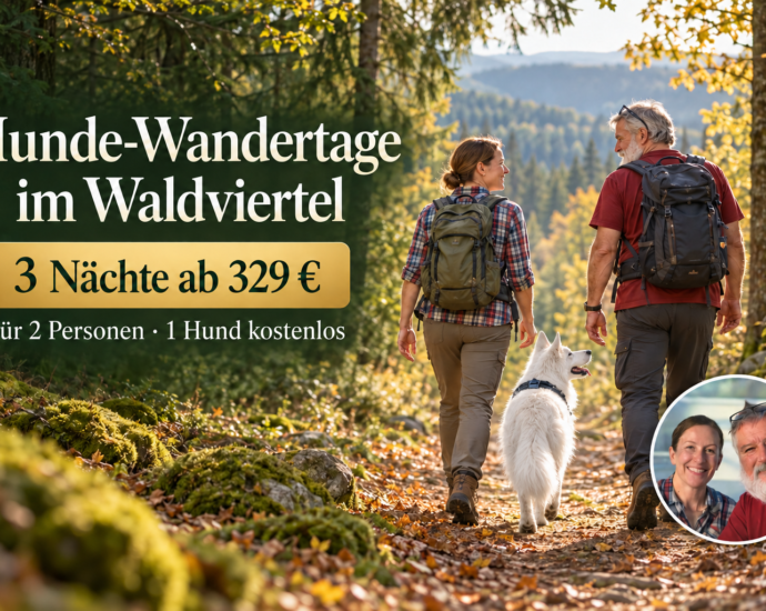 Hunde-Wandertage im Waldviertel – Angebot - Ferienwohnungen Gutenbrunn Hund beim Wandern im Waldviertel – Hunde-Wandertage bei den Ferienwohnungen Gutenbrunn