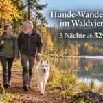 hunde-wanderage im waldviertel - Ferienwohnungen Gutenbrunn Hundewandertage im Waldviertel