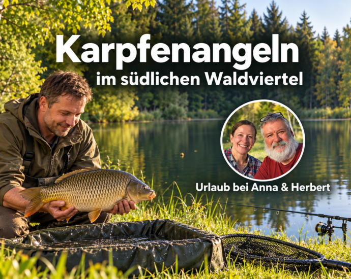 Karpfenangeln im südlichen Waldviertel - Ferienwohnungen Gutenbrunn Angler hält einen Karpfen über einer Abhakmatte am Waldteich, mit Titel und Anna-und-Herbert-Badge.