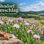 Mohndorf Armschlag – Ein Ausflug für Genießer - Ferienwohnungen Gutenbrunn lühendes Mohnfeld mit Mohnzelten im Vordergrund und Foto-Badge von Anna und Herbert.