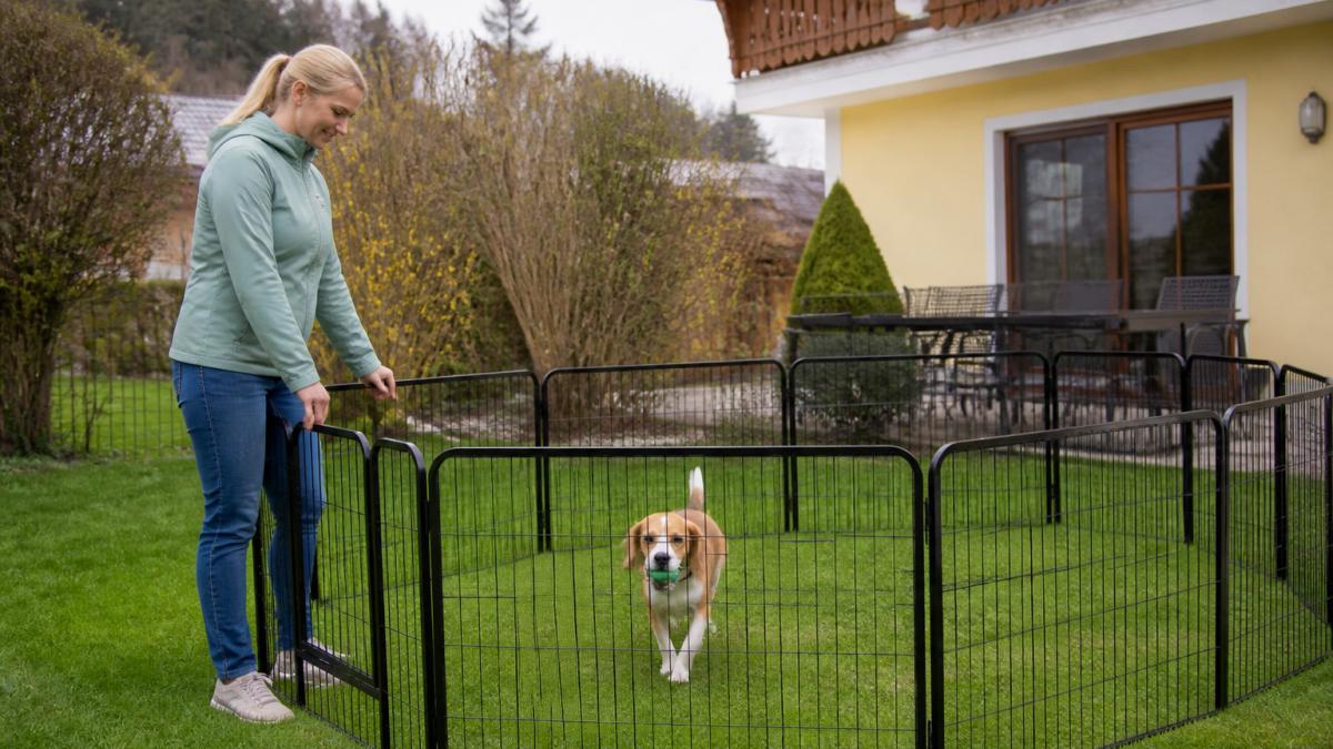 Ein aufgebauter mobiler Hundezaun in einem Garten eines Ferienhauses mit einem Hund, der sicher darin spielen kann, natürliches Licht